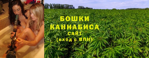 крисы Аркадак