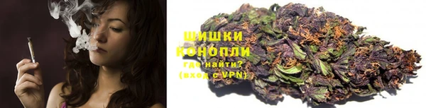 крисы Аркадак