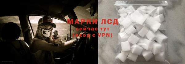 крисы Аркадак
