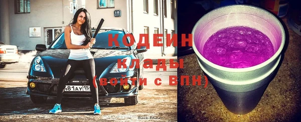 прущий лед Арсеньев