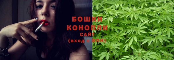 крисы Аркадак