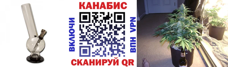купить наркоту  Родники  Бошки марихуана Amnesia 
